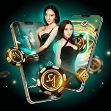 c444 game